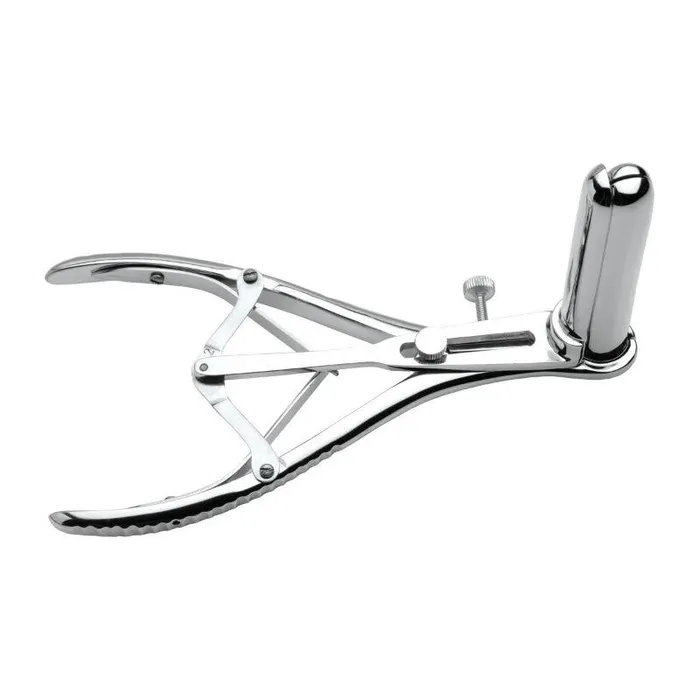 Anal Mistress By Isabella Sinclaire Isabella Sinclaire Anal Speculum