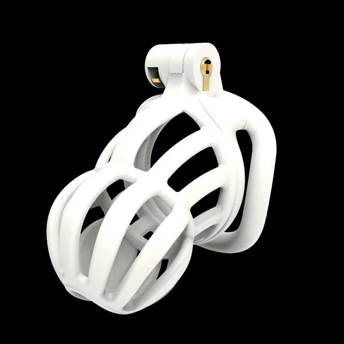 CHASTITY CAGE CO 3D Stegosaurus Narrow Face Chastity Device Kit Male Sex Toys