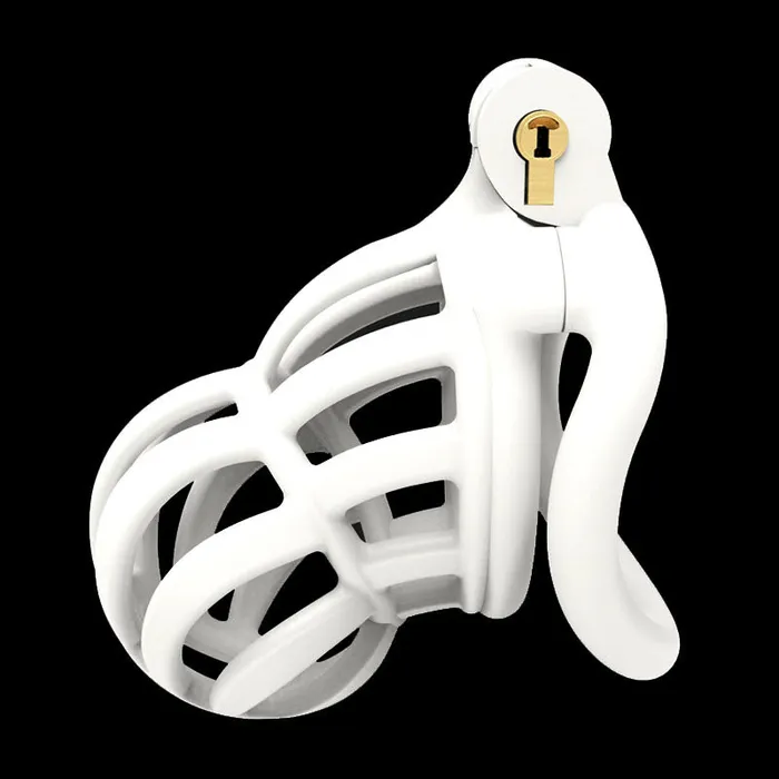 CHASTITY CAGE CO 3D Stegosaurus Narrow Face Chastity Device Kit Male Sex Toys
