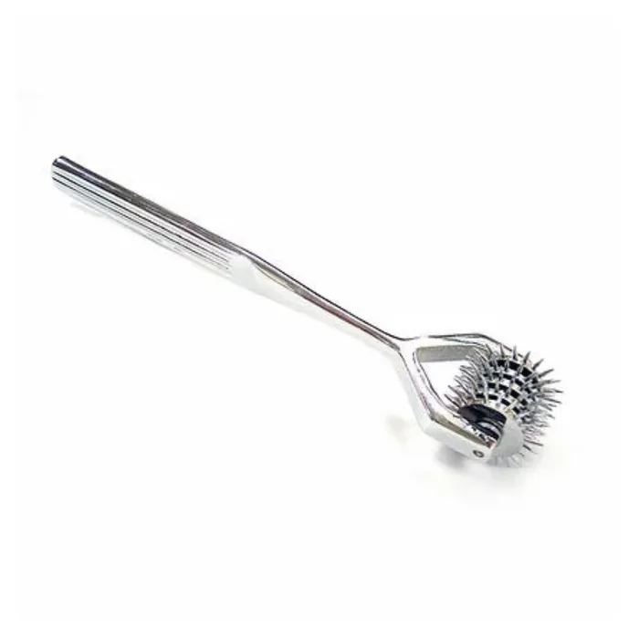 Vibrators XCite XCite Pleasure Pain Pinwheel 5