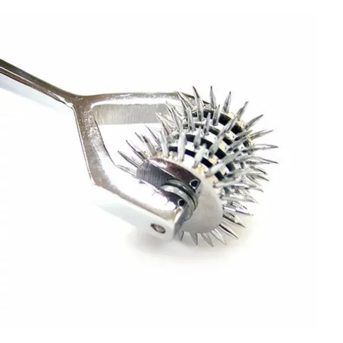 Vibrators XCite XCite Pleasure Pain Pinwheel 5