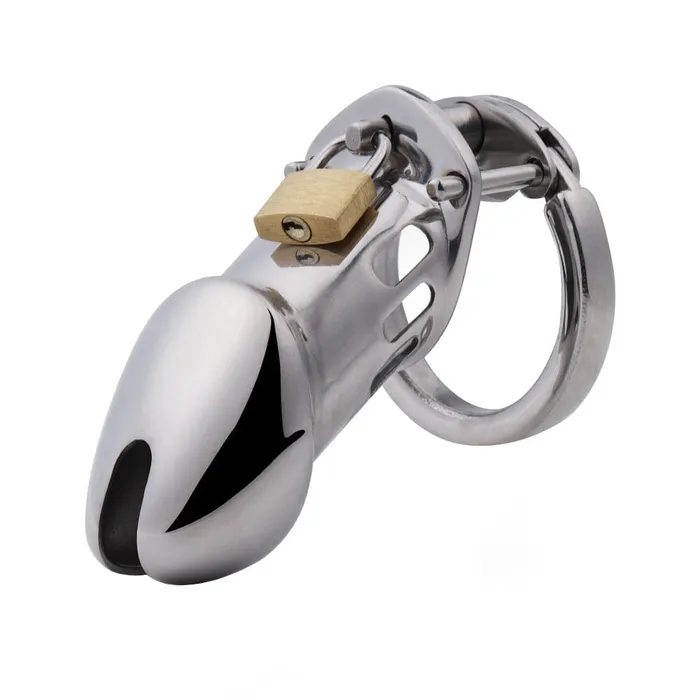 Lovegasm Male Sex Toys Cock Arrest Metal Device
