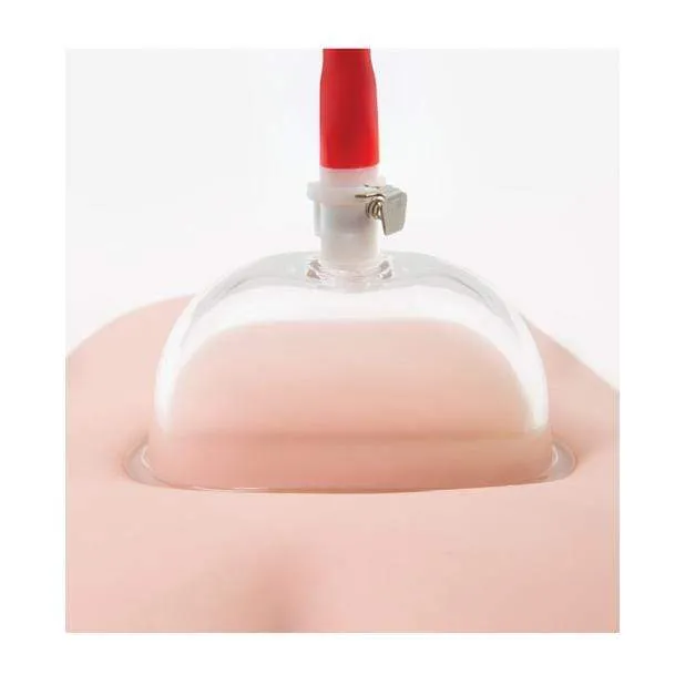 Blush Novelties Dildos Blush Novelties Temptasia Intense Pussy Pump System Clear