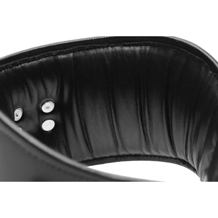 Strict Leather Restraints Padded Leather Locking Posture Collar