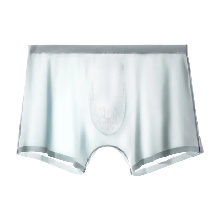 Female Sex Toys Versaley Ice Silk Cool Mens Boxer Brief Female Sex Toys Versaley Ice Silk Cool Mens Boxer Brief