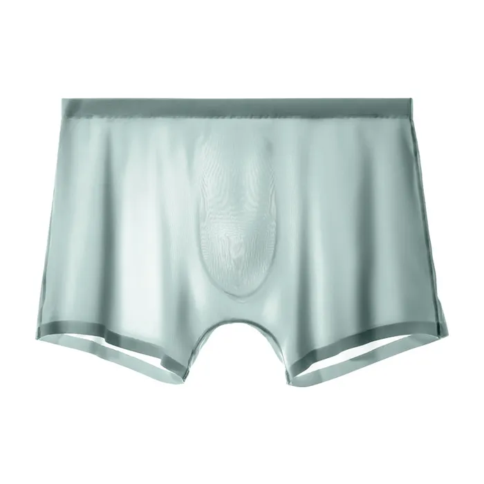 Female Sex Toys Versaley Ice Silk Cool Mens Boxer Brief Female Sex Toys Versaley Ice Silk Cool Mens Boxer Brief