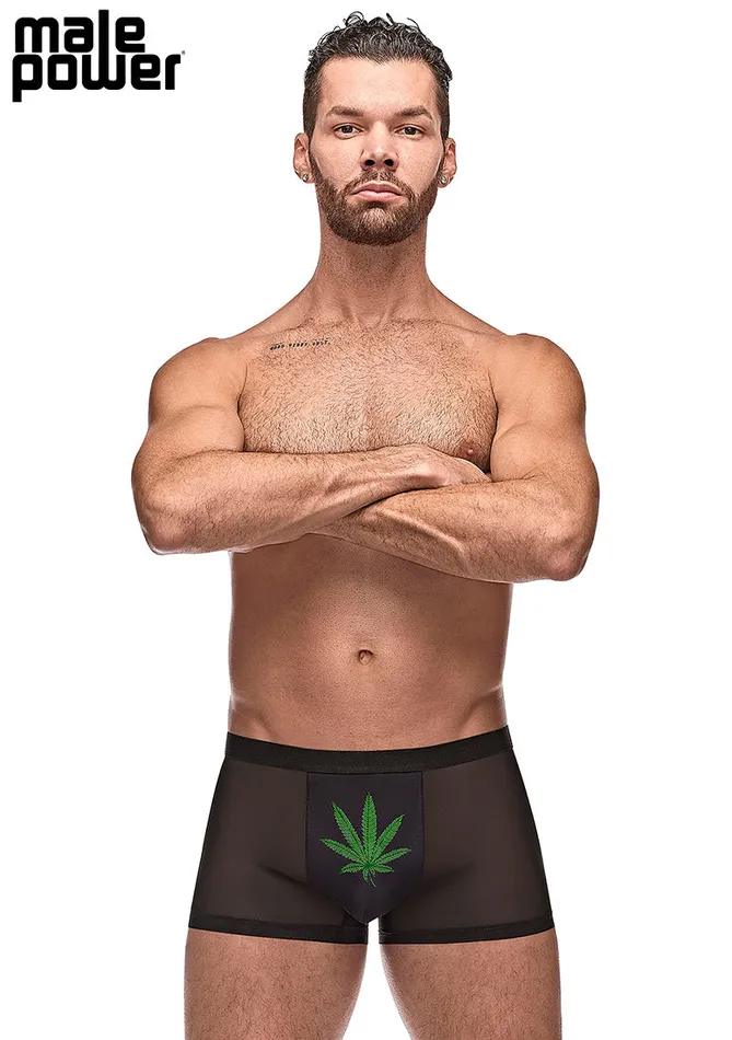 Anal Male Power Private Screening Pot Leaf Pouch Short Black Small Anal Male Power Private Screening Pot Leaf Pouch Short Black Small