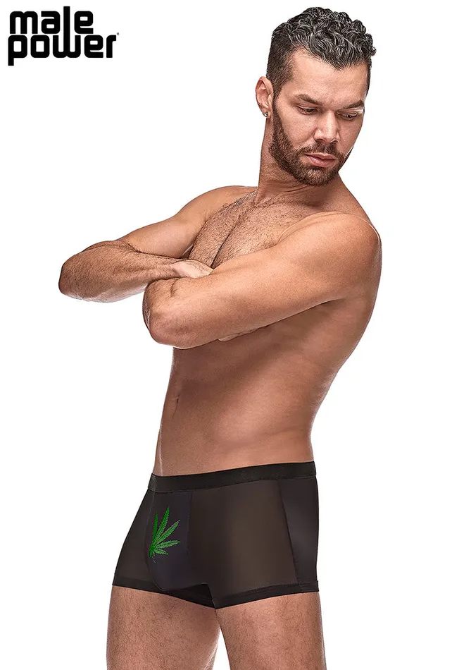 Anal Male Power Private Screening Pot Leaf Pouch Short Black Small Anal Male Power Private Screening Pot Leaf Pouch Short Black Small