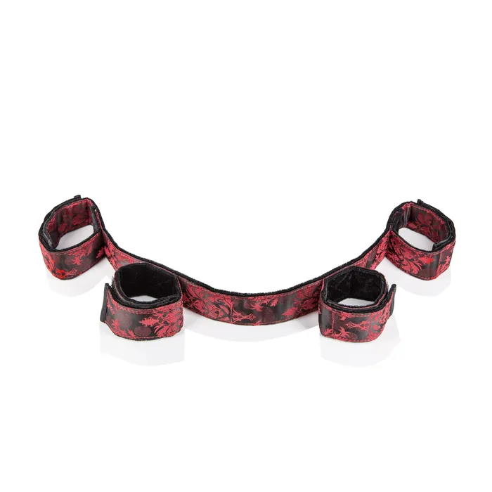 Couples CalExotics Scandal Bondage Bar