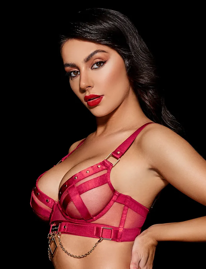 Vibrators Honey Birdette Indria Red Bra
