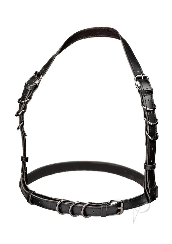 Euphoria Plus Size Euphoria Collection Halter Buckle Harness Plus Size Black