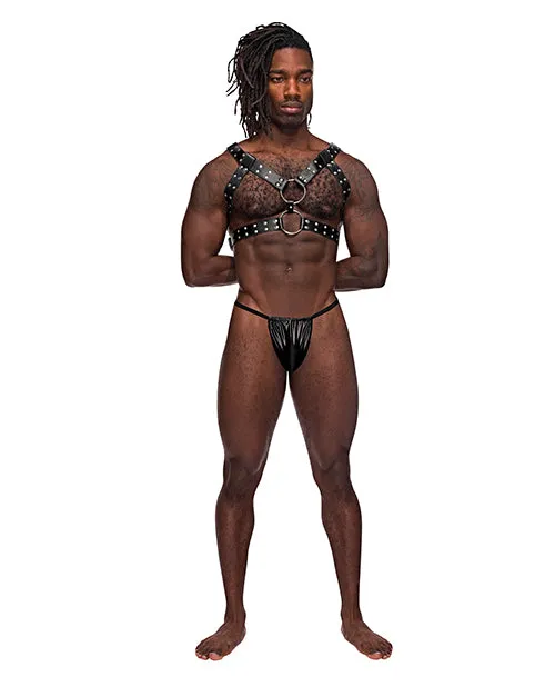 Leather Gemini Double Ring Harness Black OS Male Power Couples Leather Gemini Double Ring Harness Black OS Male Power Couples