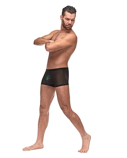Male Power Anal Private Screening Micro Mesh Modal Pot Leaf Black SM