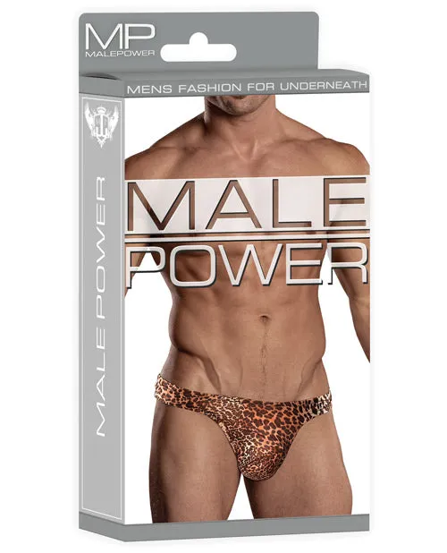 Male Power Wonder Thong Animal Print LXL Male Power Male Sex Toys Male Power Wonder Thong Animal Print LXL Male Power Male Sex Toys