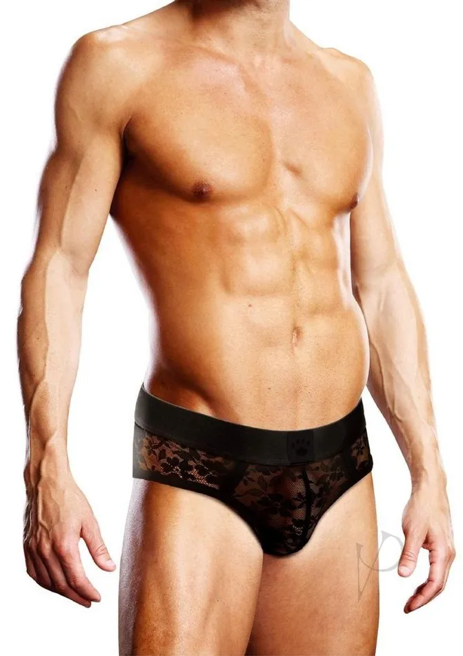 Prowler Lace Brief Large Black Prowler Anal Prowler Lace Brief Large Black Prowler Anal