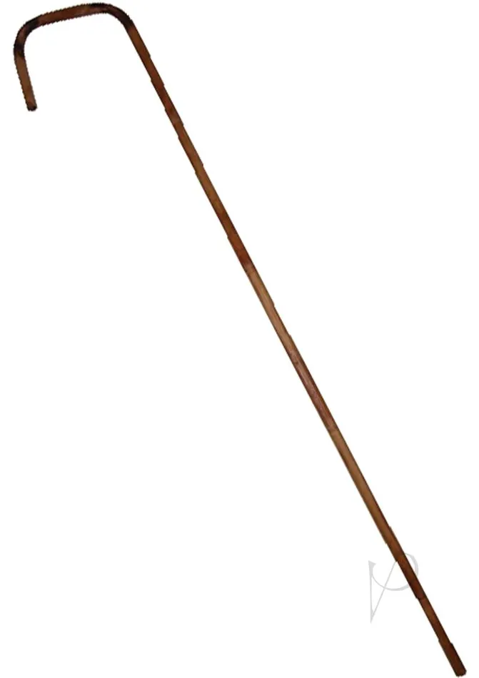 Rouge Bamboo Cane 29in Brown Rouge Vibrators