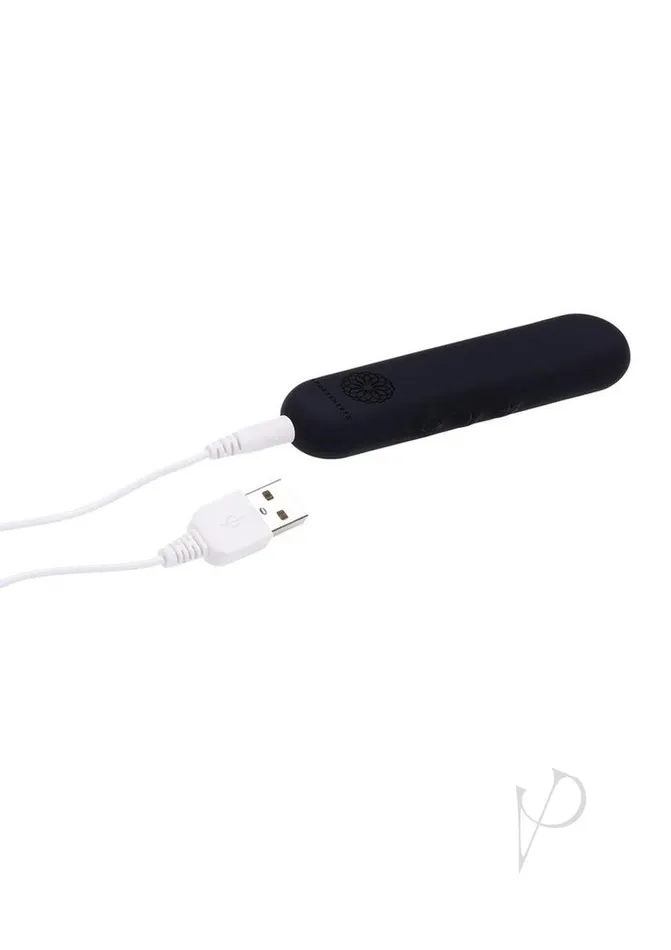 Sportsheets Female Sex Toys Pivot Flat Rechargeable Silicone Bullet Black Sportsheets Female Sex Toys Pivot Flat Rechargeable Silicone Bullet Black