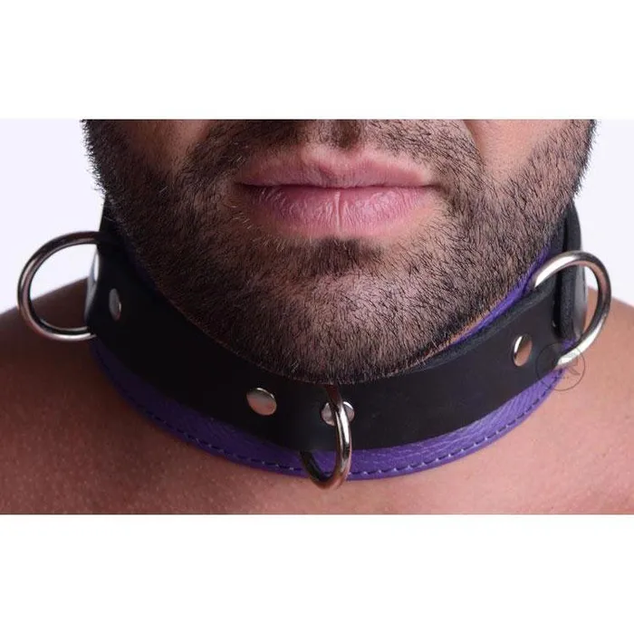 Strict Leather Vibrators Strict Leather Black and Purple Deluxe Locking Collar Strict Leather Vibrators Strict Leather Black and Purple Deluxe Locking Collar