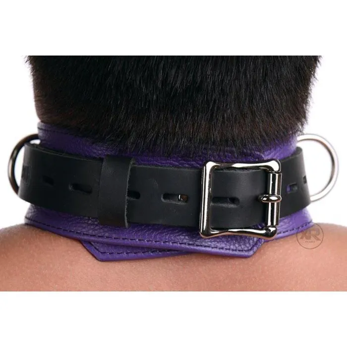 Strict Leather Vibrators Strict Leather Black and Purple Deluxe Locking Collar