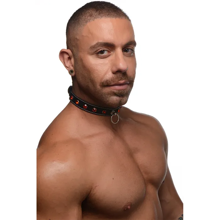 Strict Male Sex Toys Rhinestone Choker with ORing