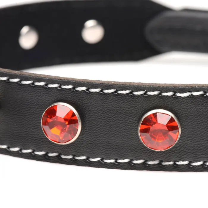 Strict Male Sex Toys Rhinestone Choker with ORing