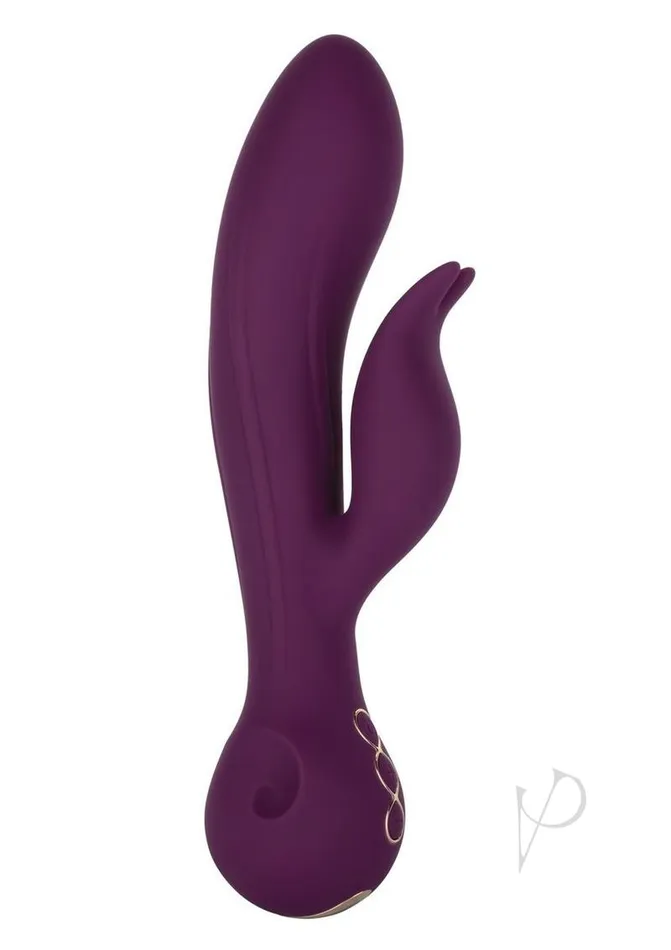 Vibrators Obsession Obsession Desire Rechargeable Silicone Rabbit Vibrator Purple