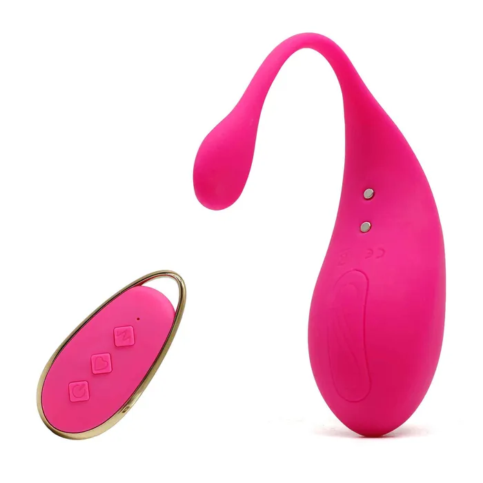 Wild Night Fantasies Female Sex Toys 12 Vibration Remote Control Love Egg